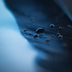 阿娇与冠希13分26秒的背景故事
